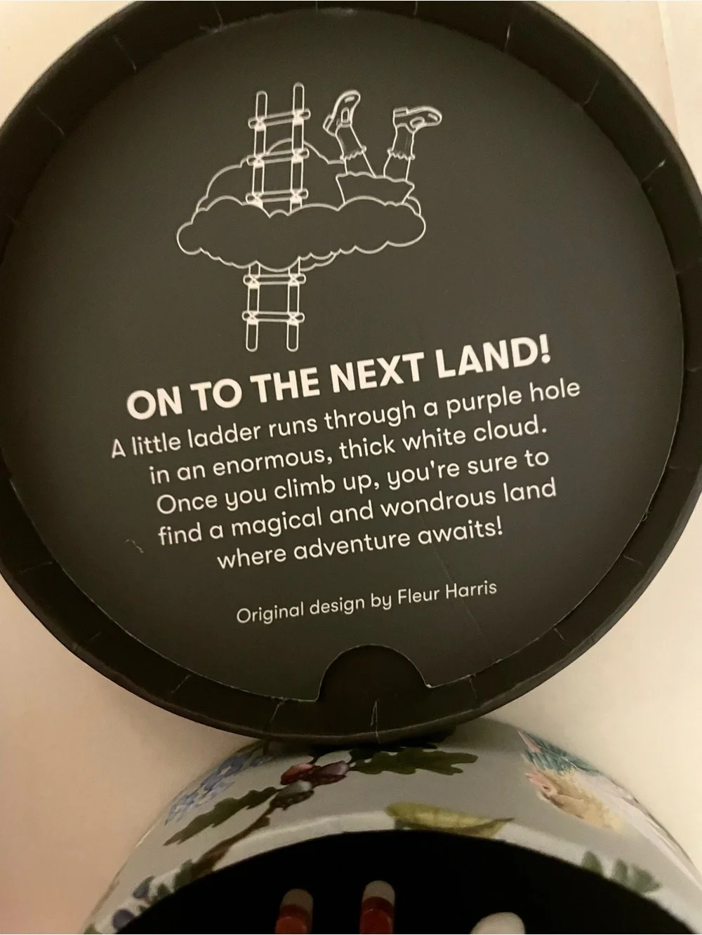 NIB Erstwilder On To The Next Land Brooch